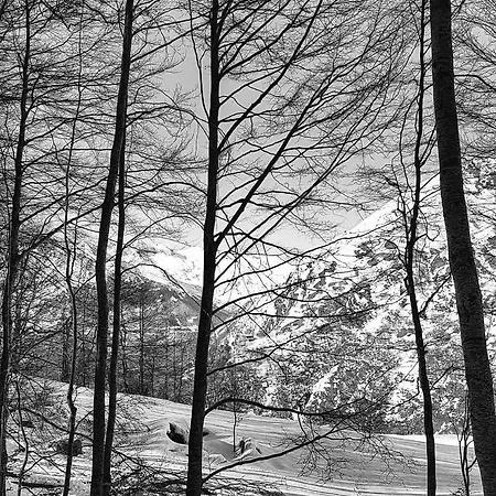 Les Sorbiers Bed & Breakfast 4*