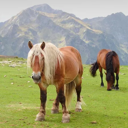Les Sorbiers 4* Barèges