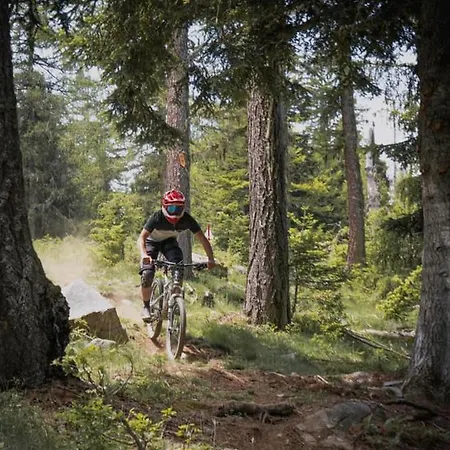 Bed & Breakfast Les Sorbiers