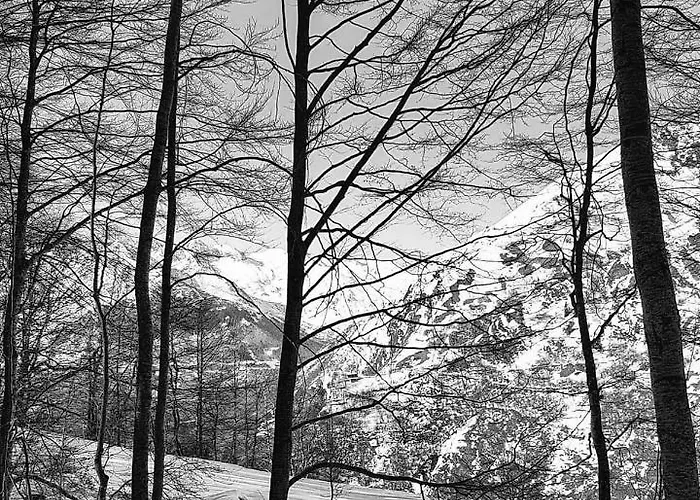 Les Sorbiers Oda ve Kahvaltı 4*