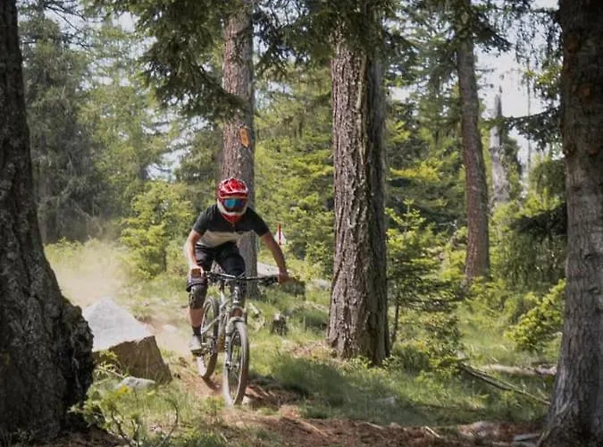 ベッド・アンド・ブレックファスト Les Sorbiers