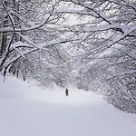 Les Sorbiers Barèges