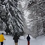 فندق مبيت وإفطار Les Sorbiers Barèges