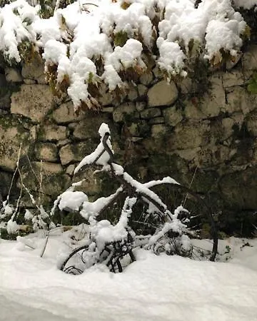Les Sorbiers Bed & Breakfast Bareges