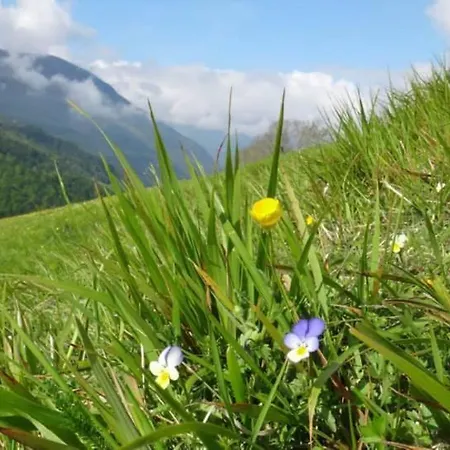 Bed & Breakfast Les Sorbiers 4*