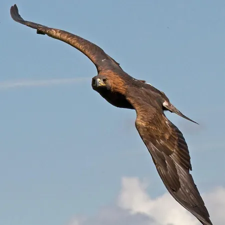 Bed & Breakfast Les Sorbiers