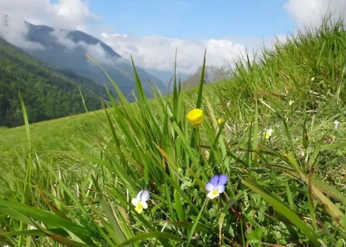 Frühstückspension Les Sorbiers 4*