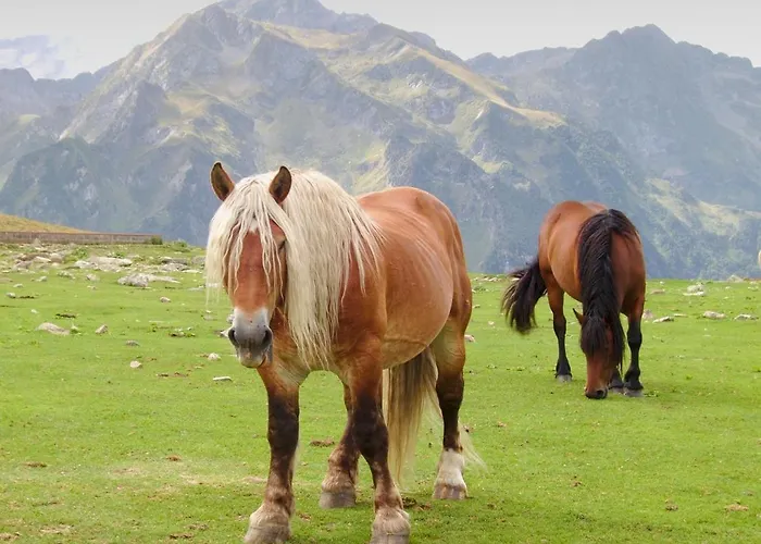 Les Sorbiers 4* Barèges
