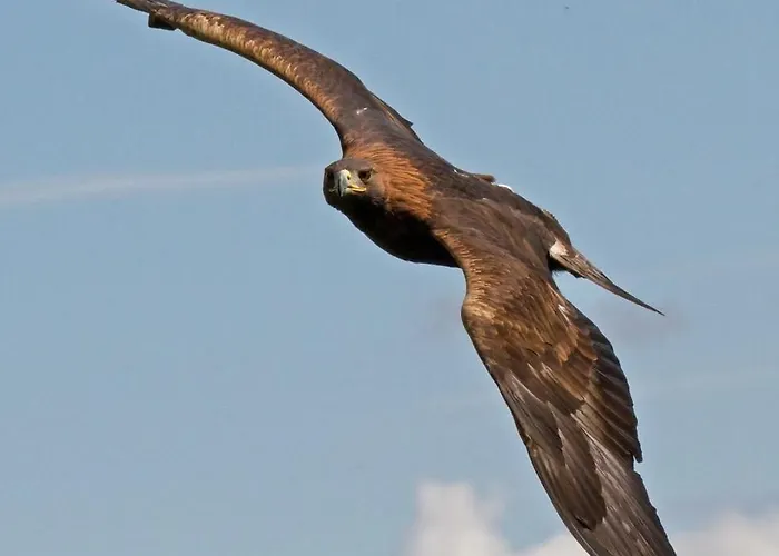 Frühstückspension Les Sorbiers